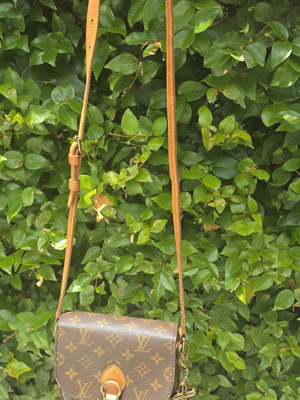 Louis Vuitton Brown mini Saint cloud Crossbody Bag - Picture 3 of 12